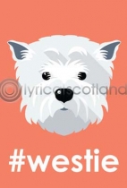 #westie (VA6)