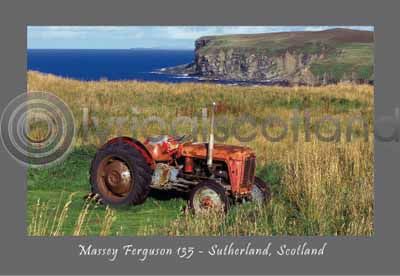 Massey Ferguson Tractor - Sutherland (HA6C)