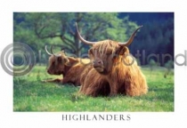 Highlanders in Glen Nevis (HA6)