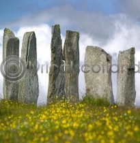 Callanish Stones (Colour)