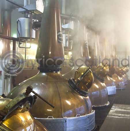 Malt Whisky Stills (Colour)