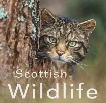 Scottish Wildlife Gift Book