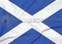 Saltire Flag Magnet (H)