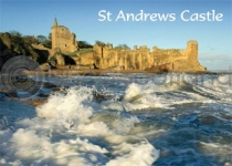 St Andrews Castle Magnet (H)