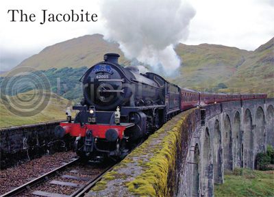 Jacobite on Glenfinnan Viaduct Magnet (H)