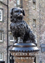 Greyfriars Bobby - Edinburgh Magnet (V)