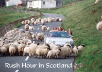 Rush Hour in Scotland Magnet (H)