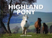 Spirit of the Highland Pony